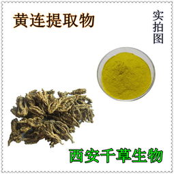 洋蔥純浸膏 廠家專業生產天然動植物提取物定做濃縮流浸膏 西安 植物提取物