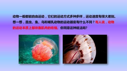 人教八年級(jí)上冊生物課件第五單元第二章第一節(jié) 動(dòng)物的運(yùn)動(dòng)課件 24張ppt