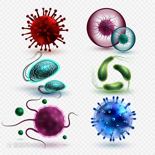 3D現實中的微生物與細菌 隔離、媒集與微觀世界的探索